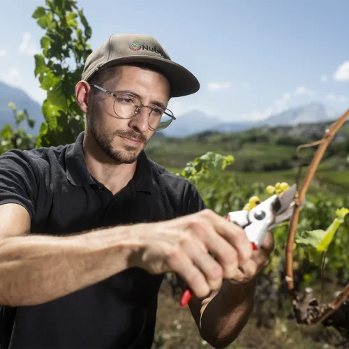 Cave du Lac - Elia Gabrieli - Qui somme - Andrea Invernici